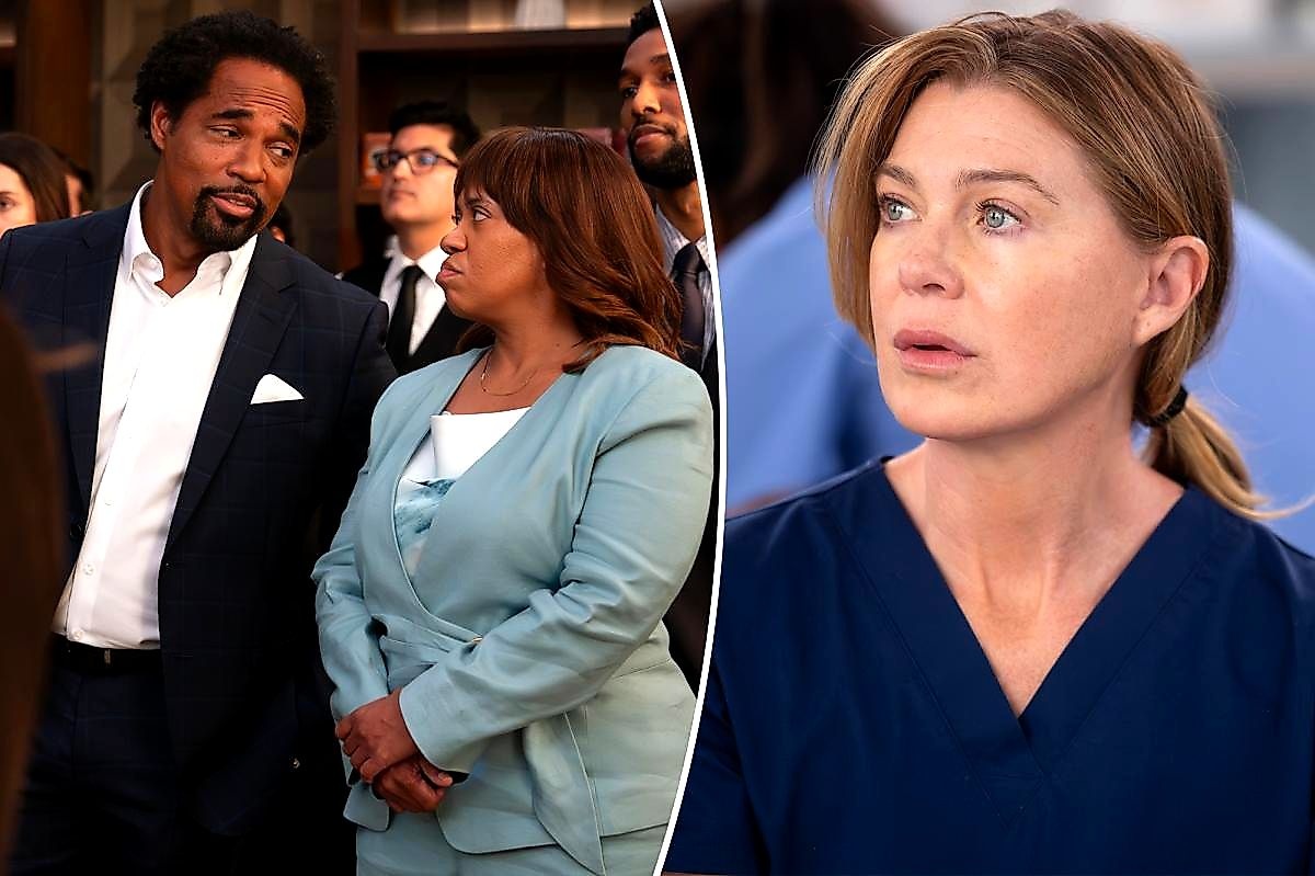 Meredith Grey's 3-Word Engagement Proposal Shocked Fans