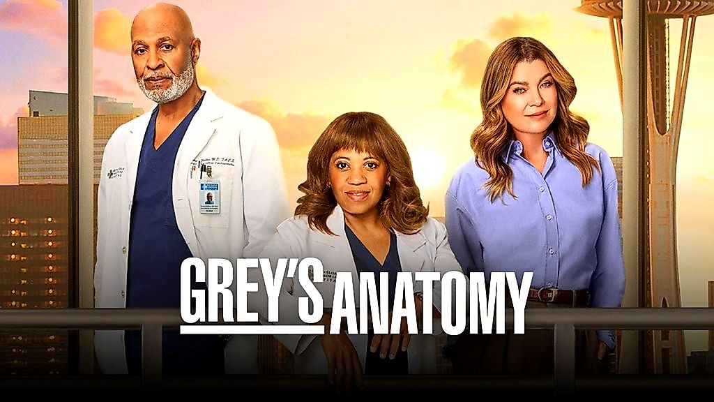 Meredith Grey's bed proposal to Nick on surgery table stuns fans