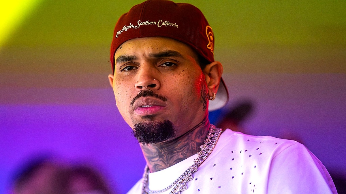 Chris Brown's $13M verdict shatters expectations after dog attack