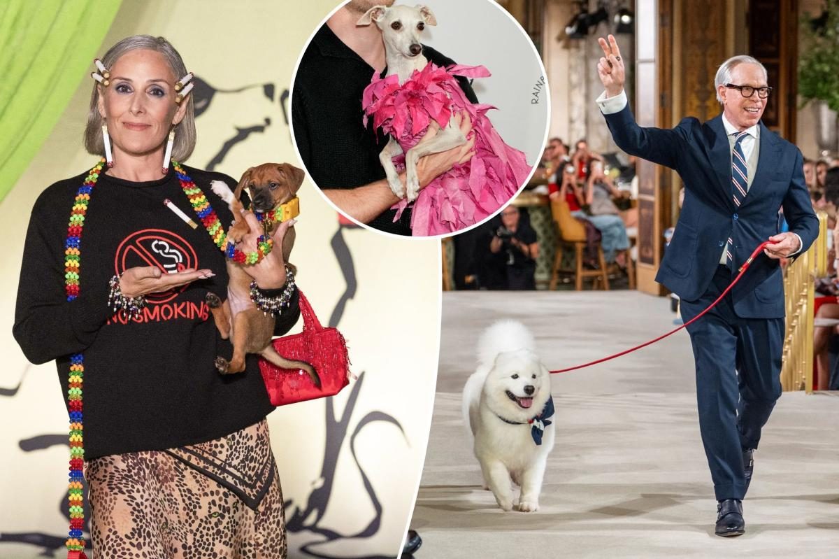 Tilly Samoyed struts Tommy Hilfiger's runway, sparking a dog‑trend
