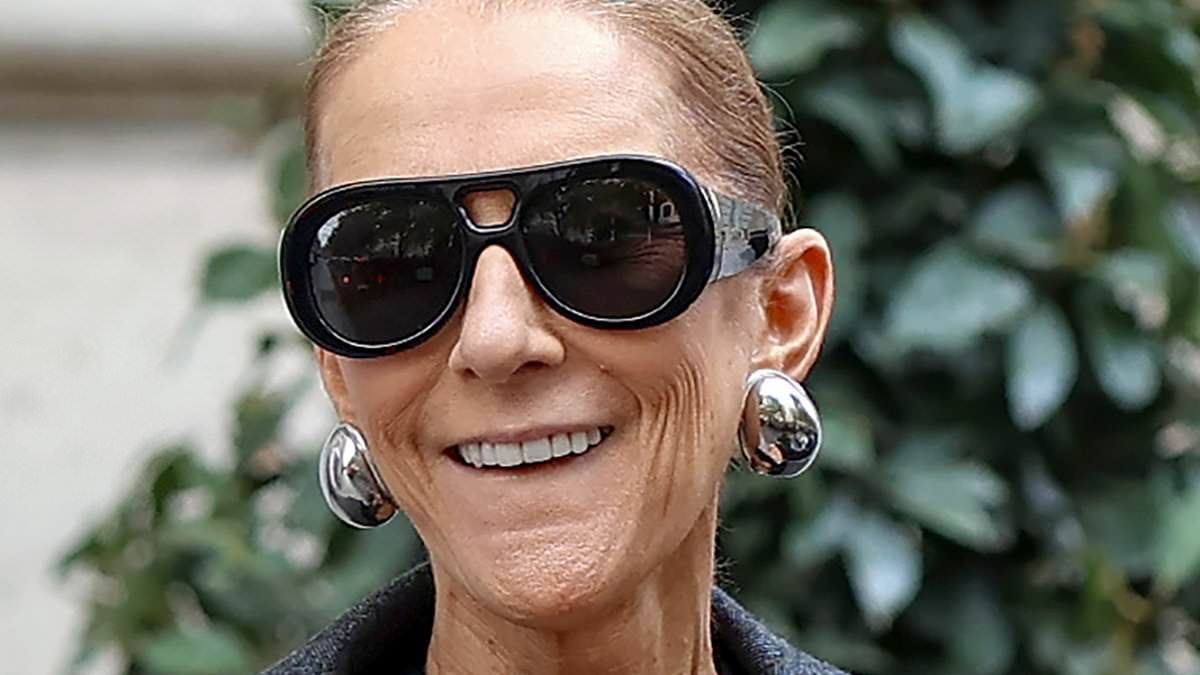 Bodyguard literally lifts Celine Dion in Paris comeback