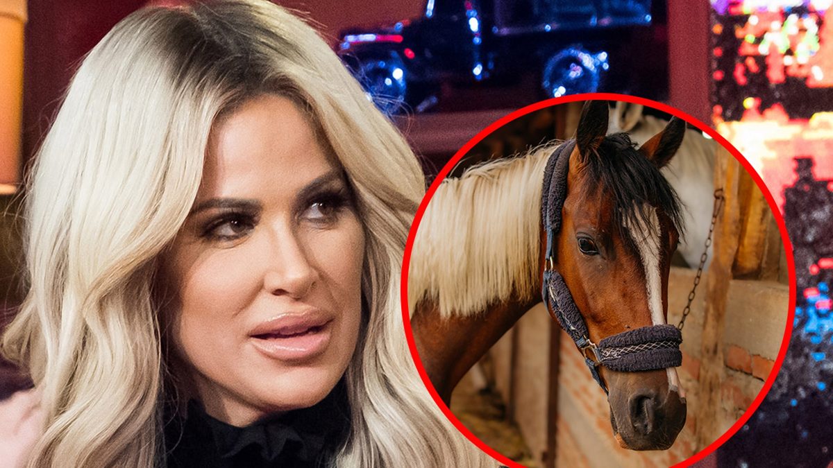 Kim Zolciak’s son fires pellet gun at nearby ranch – police investigate