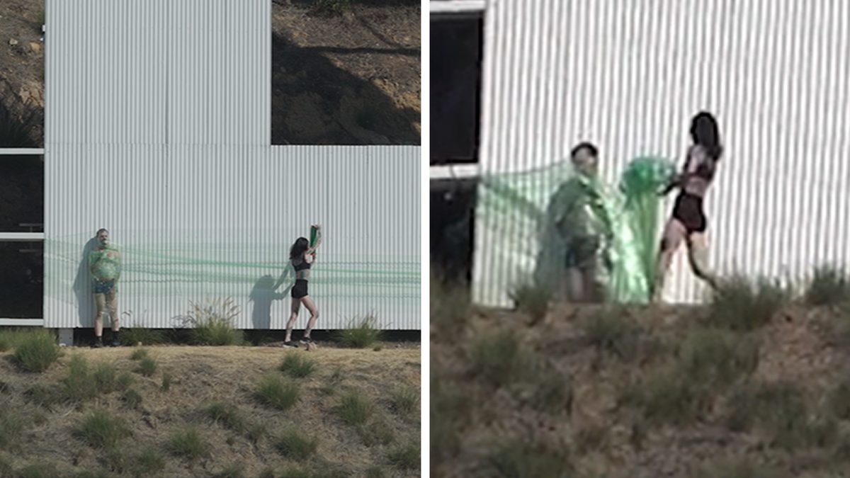 Sabine Tautou Wraps Man in Tissue on Hollywood Sign, Police Detain Her