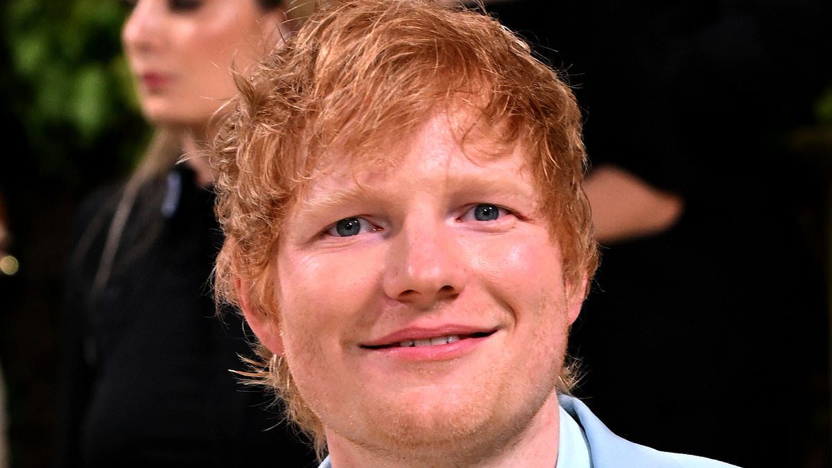 Aaron Rowe Shouts Back at Ed Sheeran After Macklemore Walks Off Tour