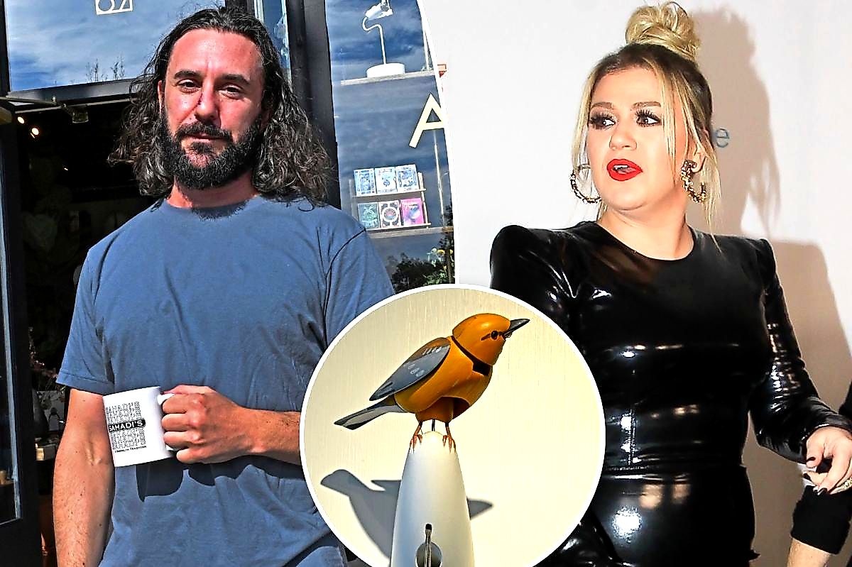 Kelly Clarkson's 44-year-old collides with a $15,000 bird in Brooklyn