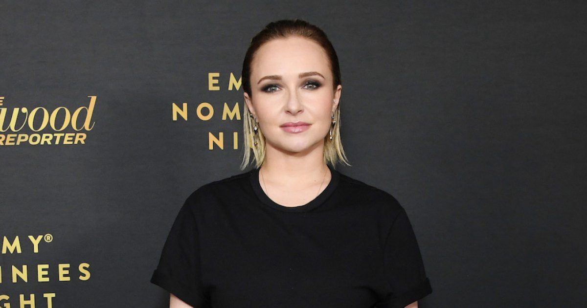 Brian Hickerson Texts Hayden Panettiere After Arrest Shocked Fans