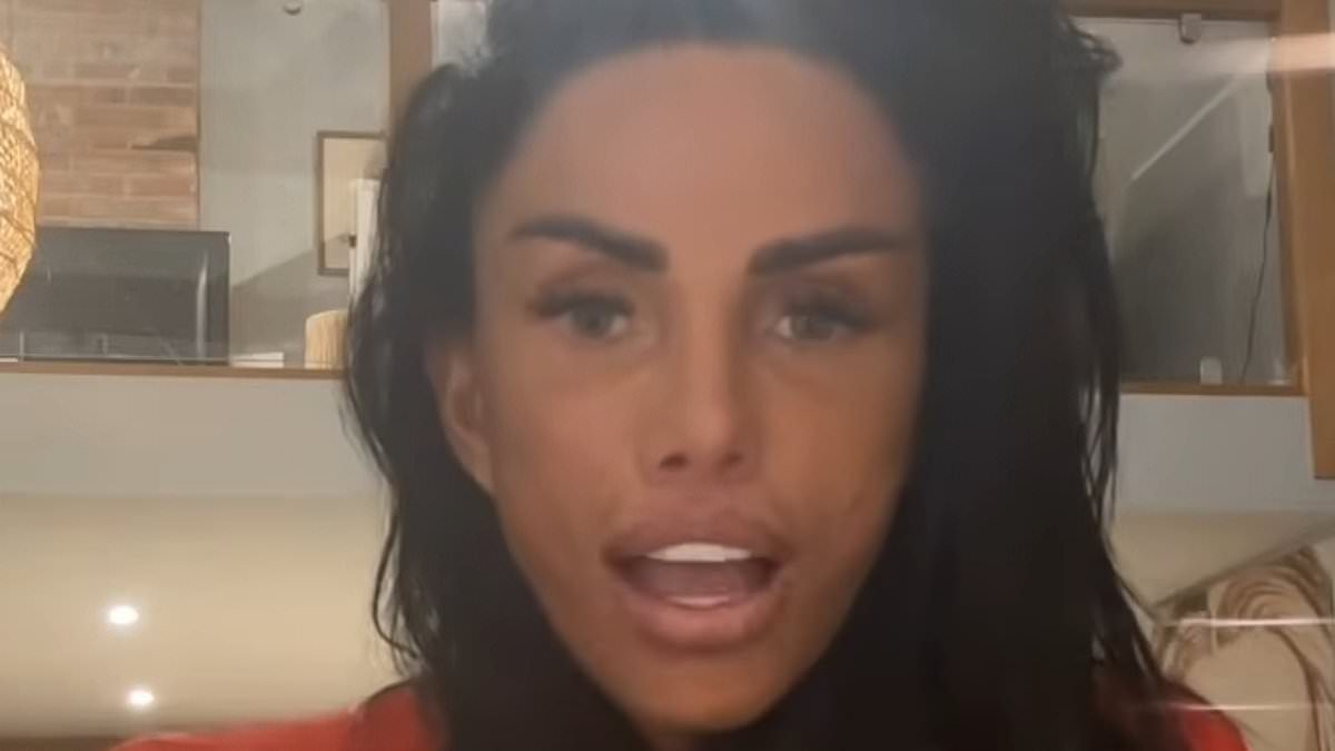 Katie Price ends marriage after Lee Andrews' £2.22 balance, vows kids