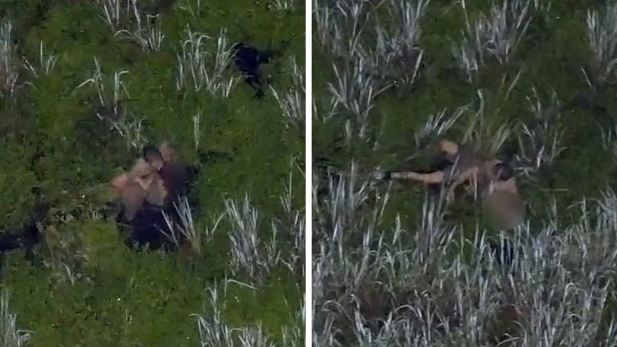 Lakeland Dad Arrested After Abandoning Toddlers in Gator‑Infested Swamp