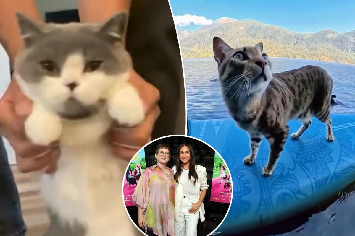 Feline film steals box office from Bourdain biopic, Markle doc