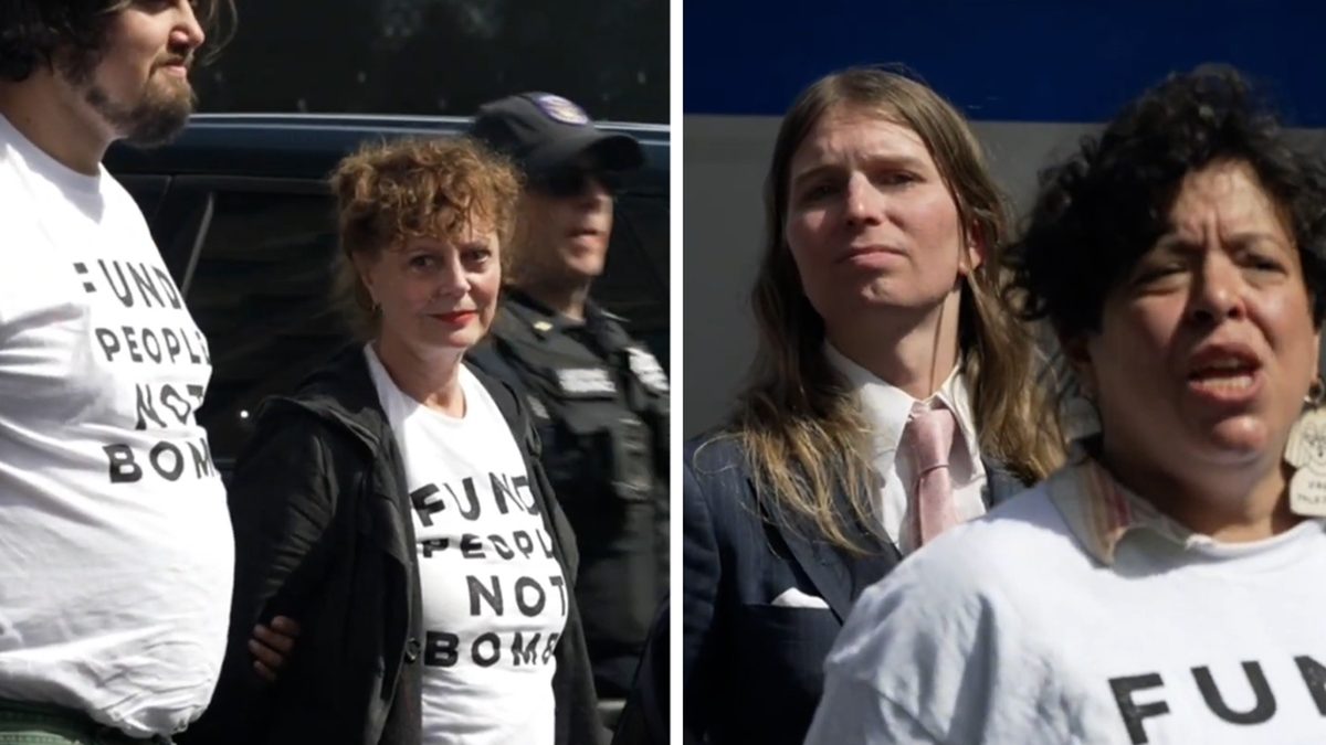 Susan Sarandon, Hannah Einbinder Handcuffed Protest to Block Netanyahu