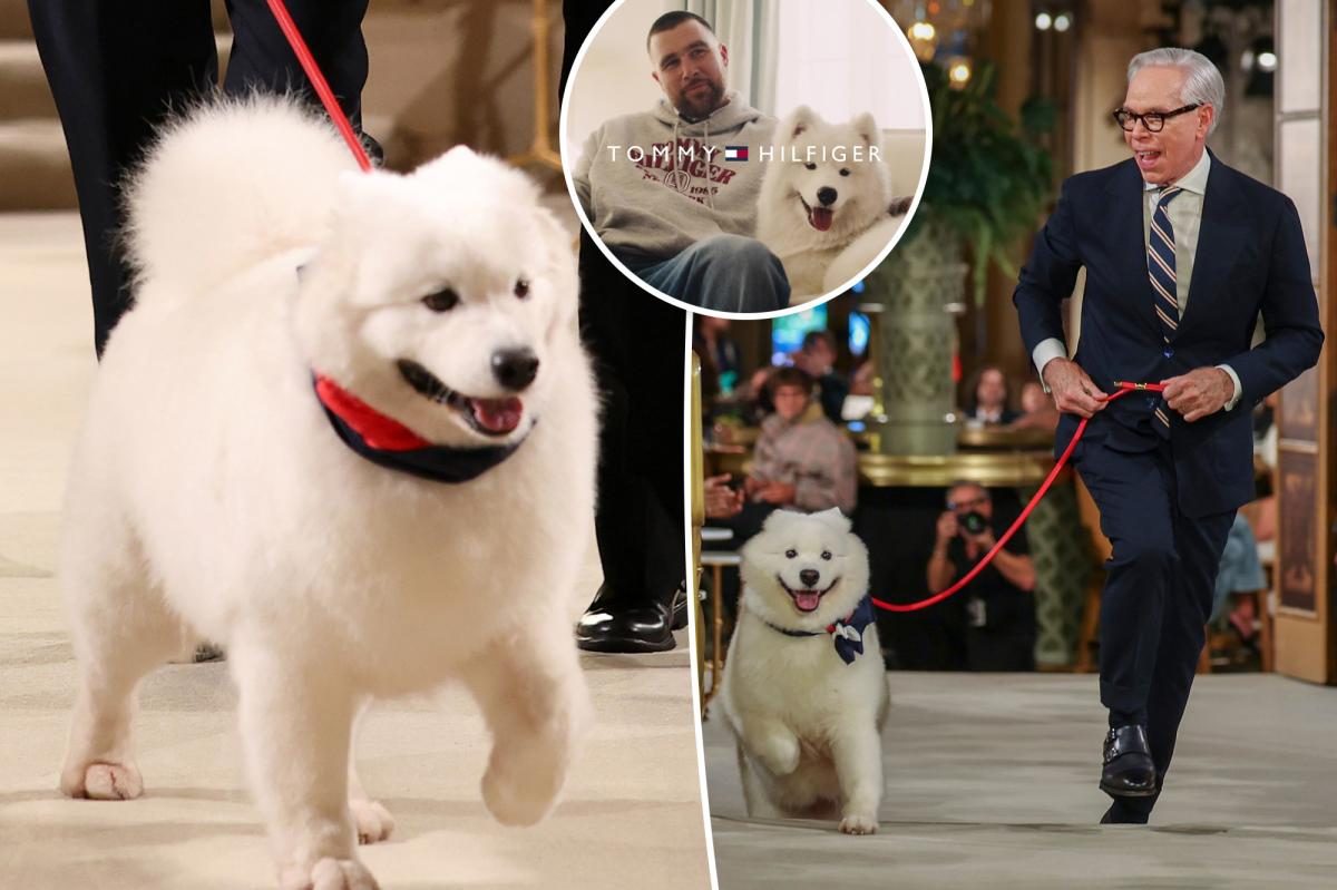 Travis Kelce’s Dog Stars at Tommy Hilfiger’s Runway, Fans Can't Believe It